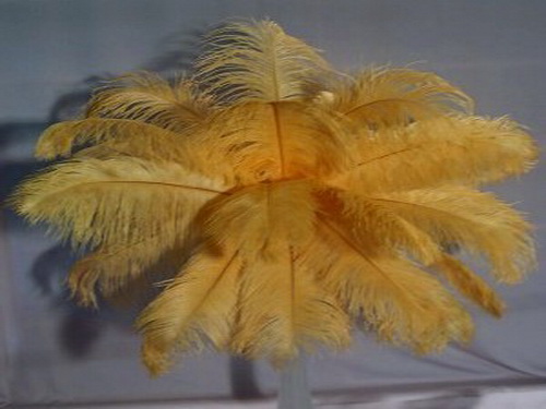 DEEP GOLD OSTRICH DRAB FEATHERS 14-16''